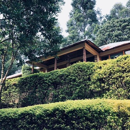 Bwindi Forest Lodge Buhoma Exterior foto