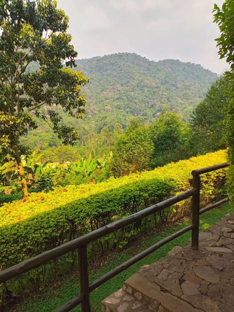 Bwindi Forest Lodge Buhoma Exterior foto